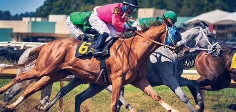 Evangeline Downs Entries & Results for Friday, 6.